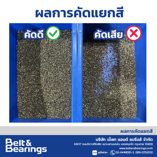 คัดแยกสีพริกหมาล่า - Image 5
