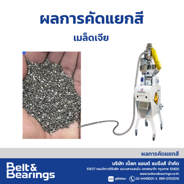 คัดแยกสีเมล็ดเจีย เม็ดเจีย