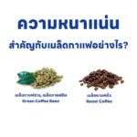 การวัดความหนาแน่นของเมล็ดกาแฟ: ตัวชี้วัดคุณภาพที่ไม่ควรมองข้าม