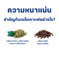 การวัดความหนาแน่นของเมล็ดกาแฟ: ตัวชี้วัดคุณภาพที่ไม่ควรมองข้าม